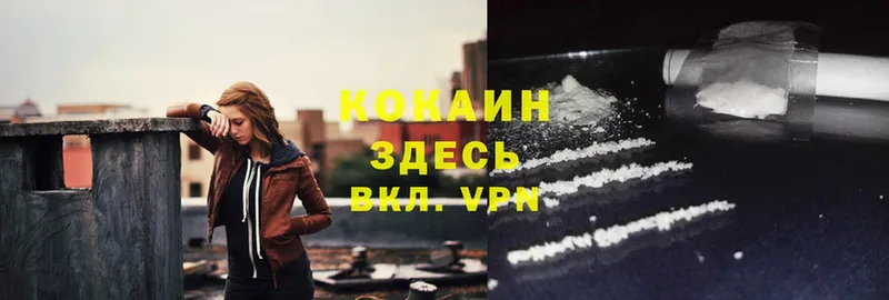 Cocaine Боливия  Дмитриев 