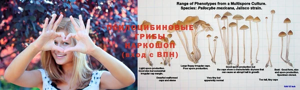 альфа пвп Надым