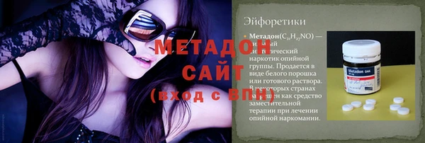 индика Алексин