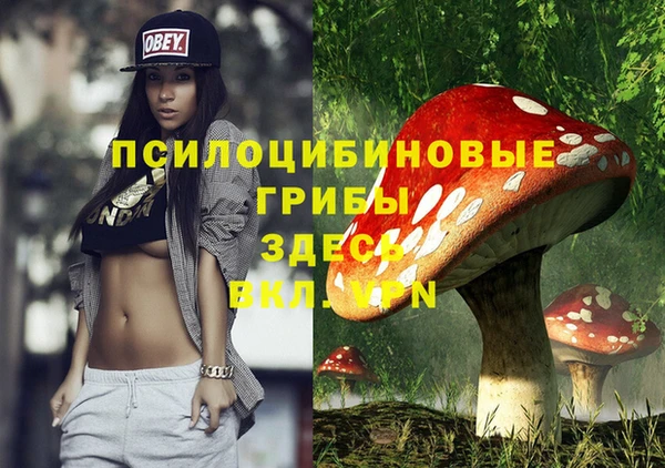гашик Наволоки