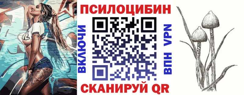 МЕГА ССЫЛКА  купить наркоту  Дмитриев  Галлюциногенные грибы Psilocybe 